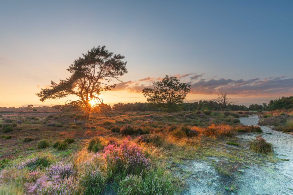 Voorkom 7 veel gemaakte fouten in landschapsfotografie 7 AAF9691 Betere Landschapsfoto