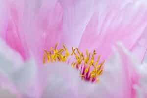 DSC9101 Verbeterd NR Betere Landschapsfoto