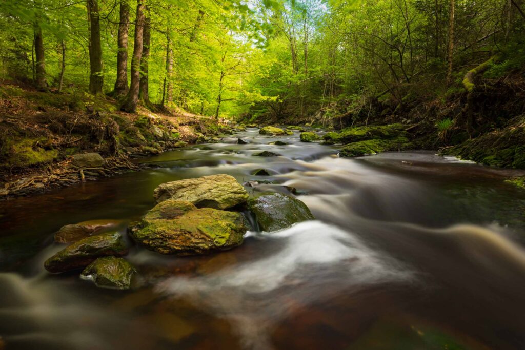 Voorkom 7 veel gemaakte fouten in landschapsfotografie 5 HZ81134 Betere Landschapsfoto