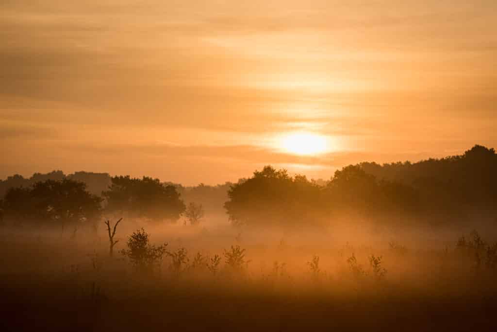 10 Praktische tips voor betere landschapsfoto’s 4 Early morning Kalmthoutse heide Belgium Betere Landschapsfoto
