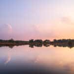 Kalmthoutse heide: meer dan heide alleen Een ven op de Kalmthoutse heide.