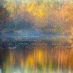Herfstfotografie: Leg de magie van de herfst vast Herfstfotografie in Nederland.