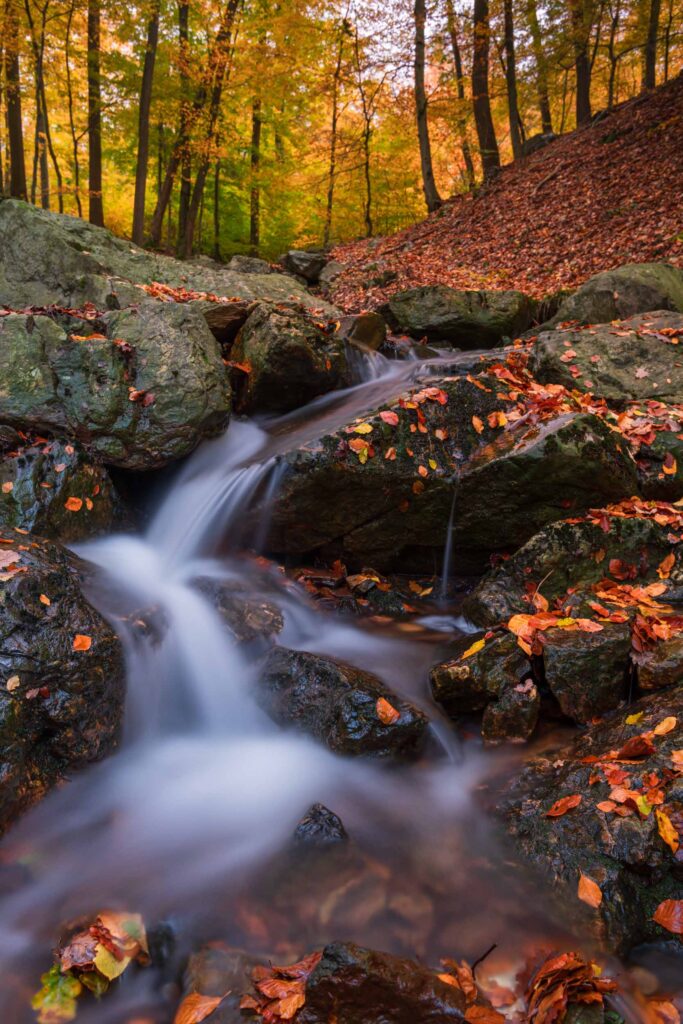 Herfstfotografie: Leg de magie van de herfst vast 4 Herfstfotografie in de Ardennen.