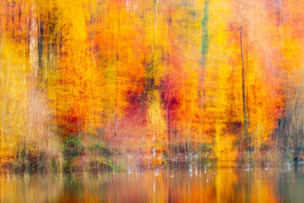 AAD0161 Betere Landschapsfoto