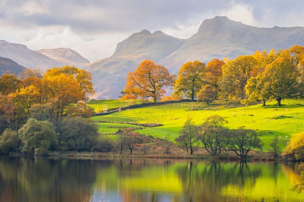 AAD8690 Betere Landschapsfoto