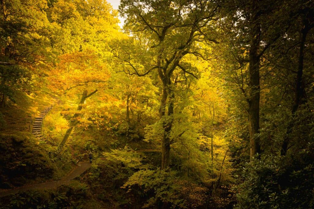 AAE6123 Betere Landschapsfoto