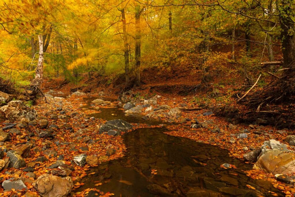 AAH1082 Betere Landschapsfoto