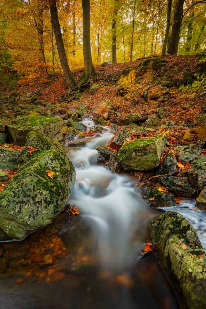 AAJ1178 Betere Landschapsfoto