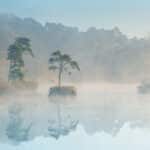 Essentiële gids voor herfstfotografie - deel I Herfstfotografie-Essentiële-Gids-Betere-Landschapsfoto