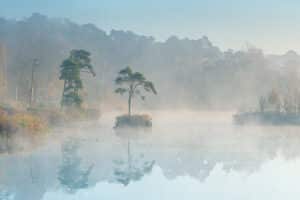 DSC5823 Betere Landschapsfoto