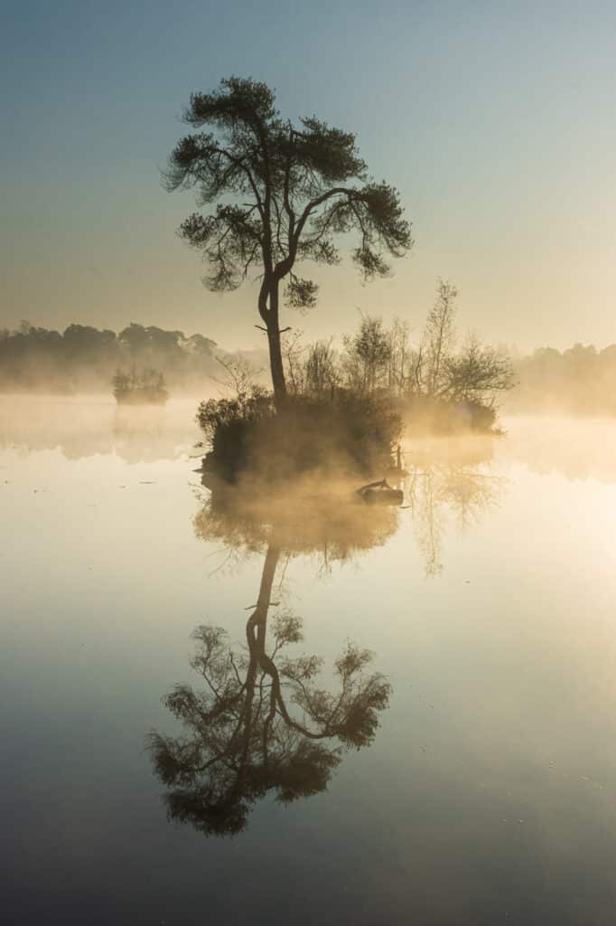 DSC5829 Betere Landschapsfoto