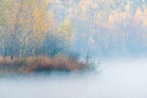 DSC5895 Betere Landschapsfoto