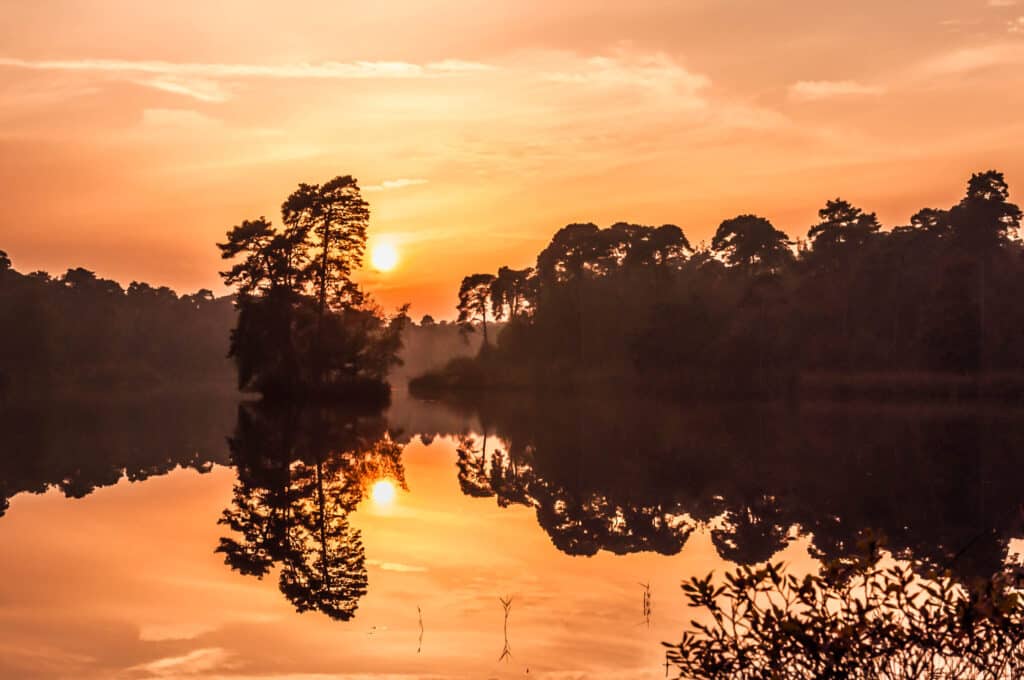 DSC6845 Betere Landschapsfoto