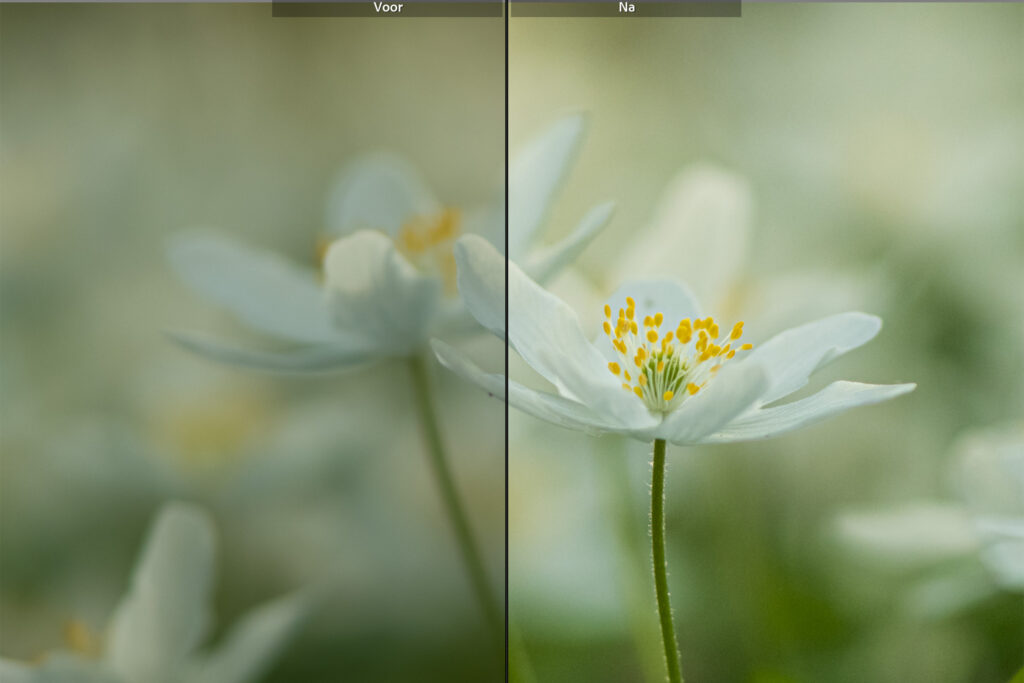 Lightroom Classic Cursus Voorbeeld 10 Betere Landschapsfoto