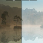 Wat kun je met Lightroom Classic? Een eenvoudige uitleg voor natuurfotografen Lightroom-Classic-Cursus-Voorbeeld