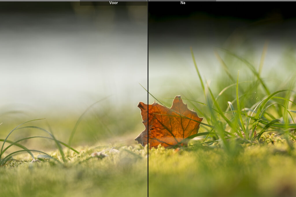 Lightroom Classic 3 Lightroom Classic Cursus Voorbeeld 8 Betere Landschapsfoto