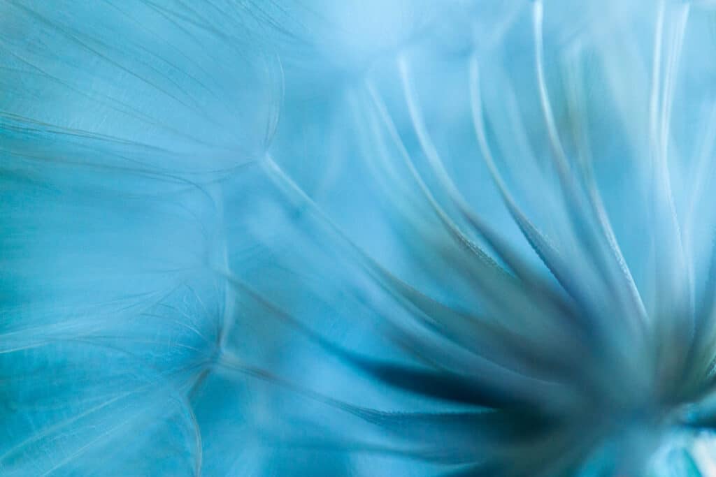 20160723 MG 7517 Betere Landschapsfoto