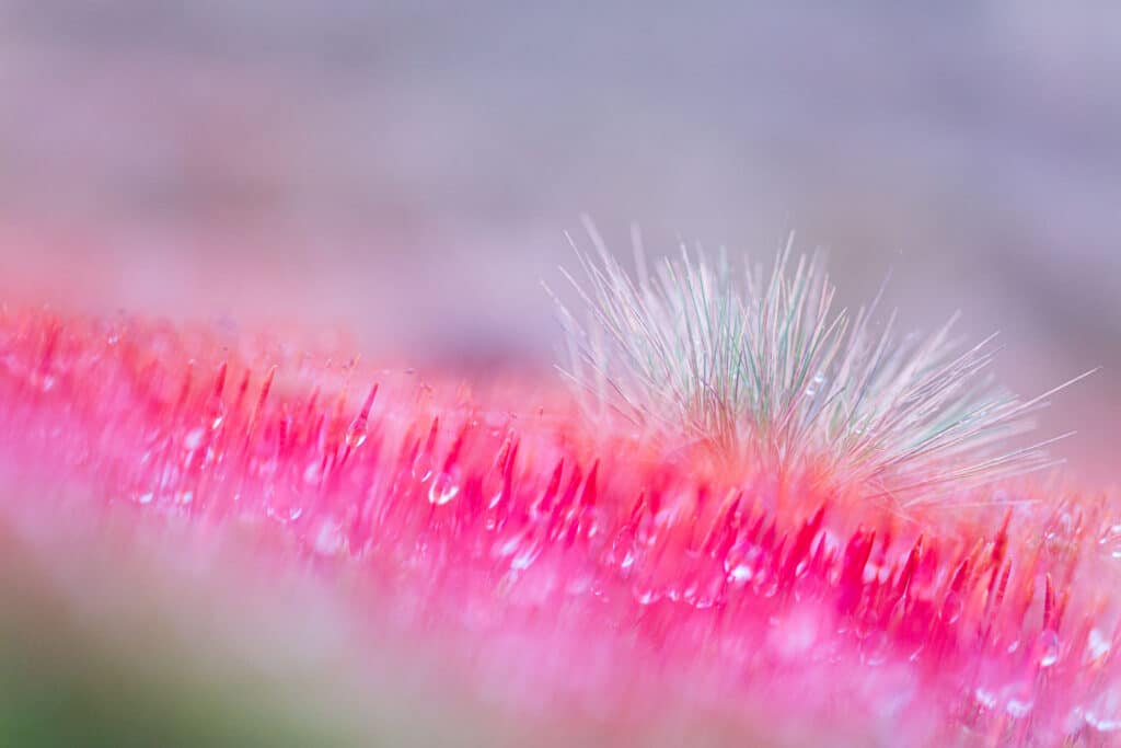 Landschapsfotografie: 10 Quick wins voor betere foto's 1 20160123 IMG 1885 Betere Landschapsfoto