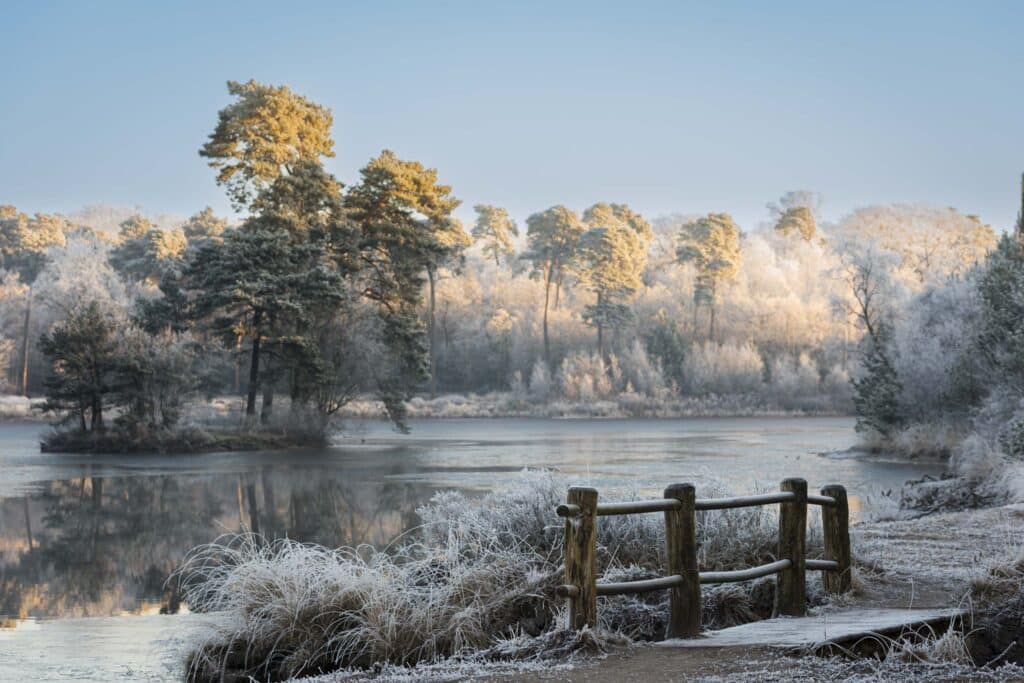 Landschapsfotografie: 10 Quick wins voor betere foto's 2 AAE9364 Betere Landschapsfoto