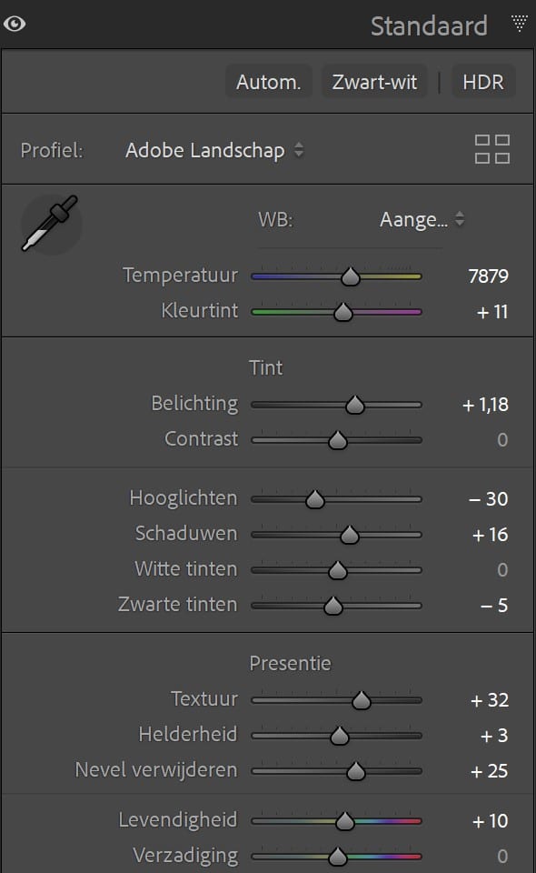 Standaard Paneel Lightroom Classic Betere Landschapsfoto