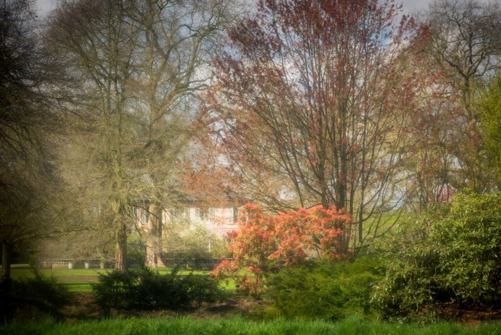 AAF3830 Betere Landschapsfoto