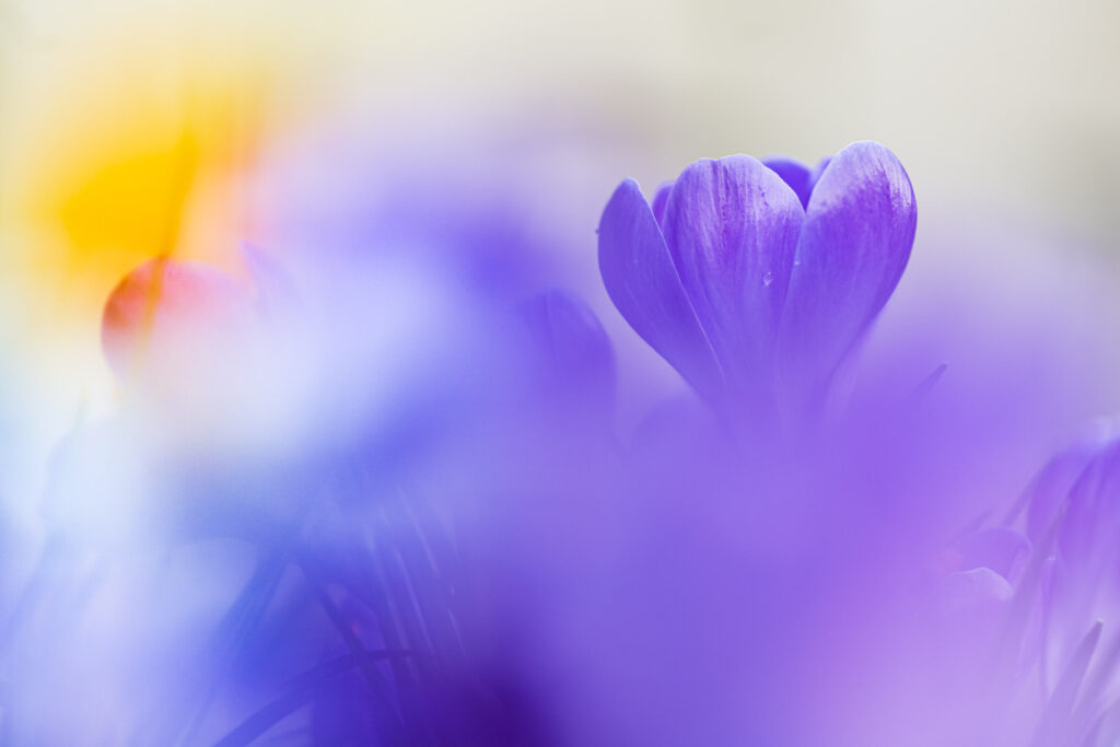 DSC1926 Betere Landschapsfoto