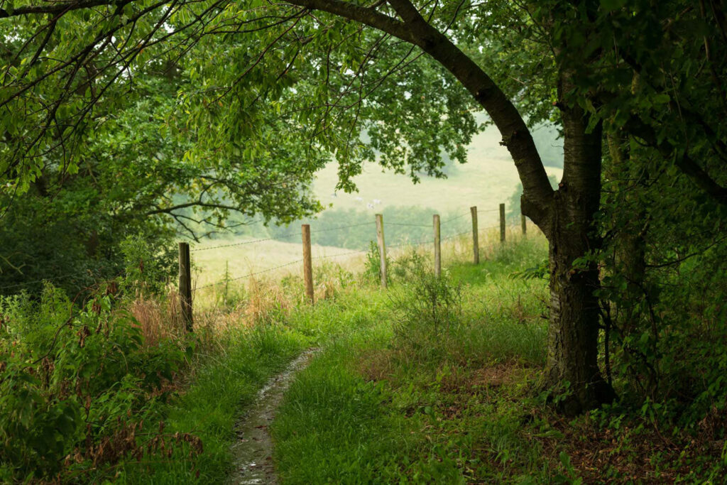 Landschap in Zuid-Limburg