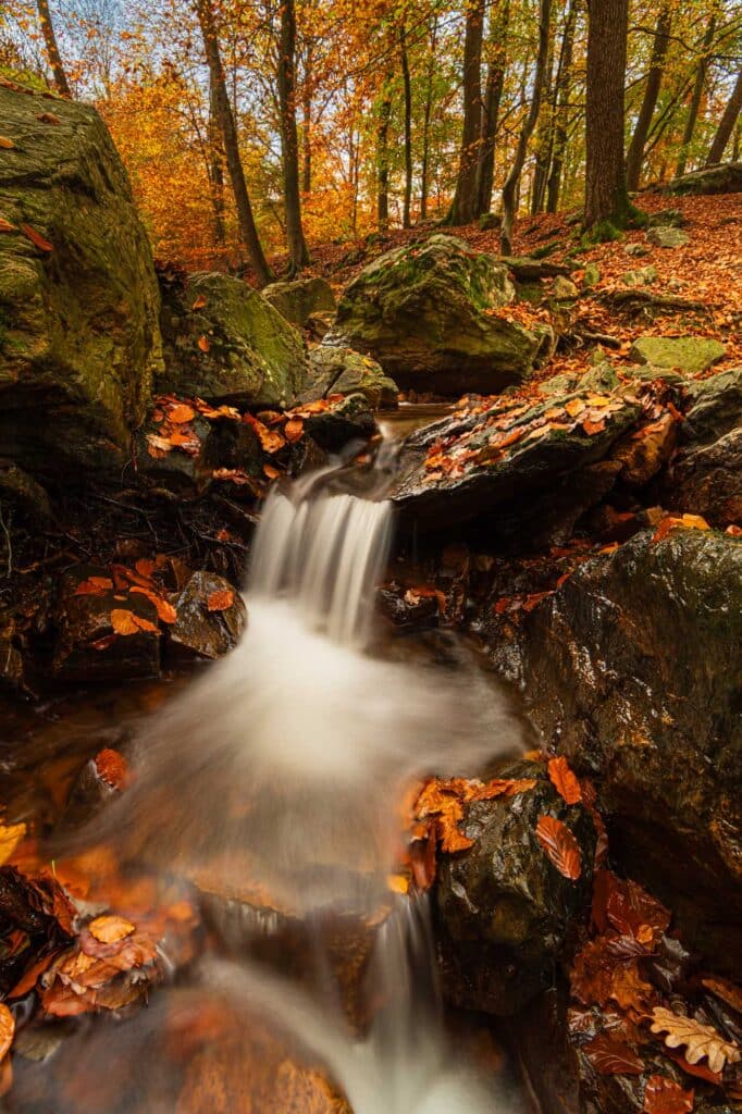 Waterval in het bos.