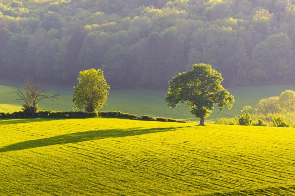 Landschap in Zuid-Limburg