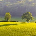 Landschap in Zuid-Limburg