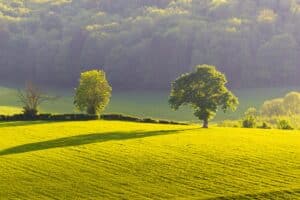 Wat is compositie in fotografie? Zo geef je je natuurfoto’s meer kracht 5 Landschap in Zuid-Limburg