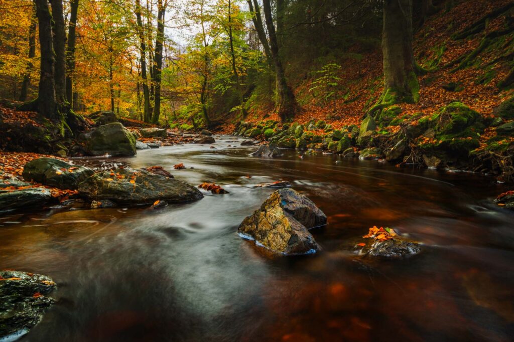 AAJ5392 Betere Landschapsfoto