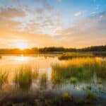 Ven in het avondlicht.