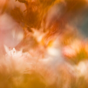 Een abstracte foto van bloemen en bladeren.