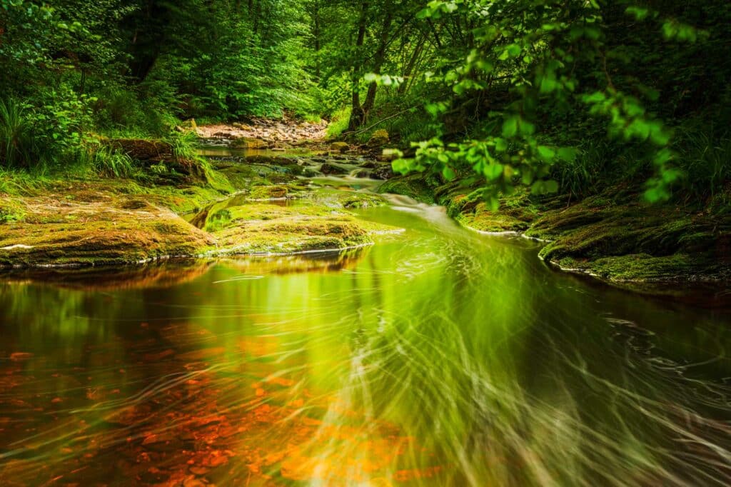 DSC2297 Betere Landschapsfoto