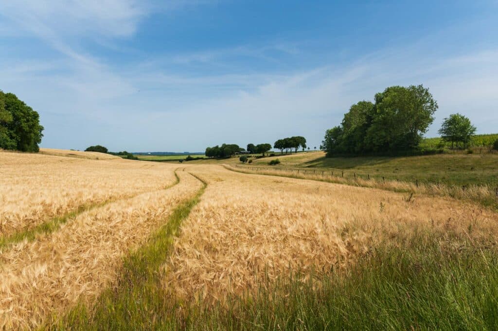 DSC3327 Betere Landschapsfoto