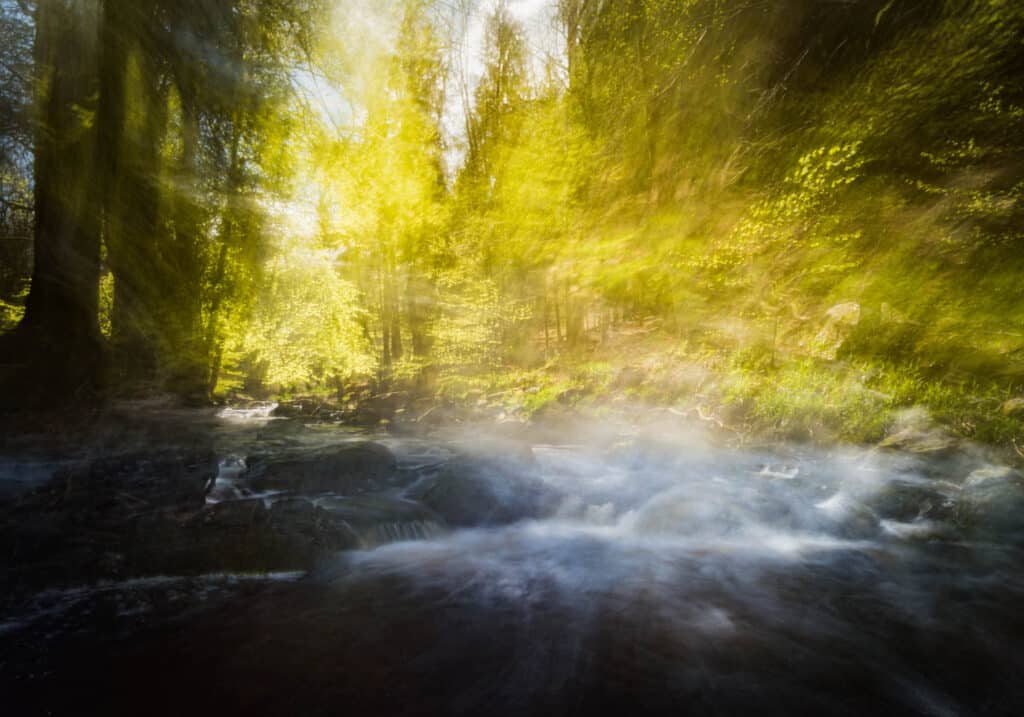 River Hoegne 4 Belgium Betere Landschapsfoto