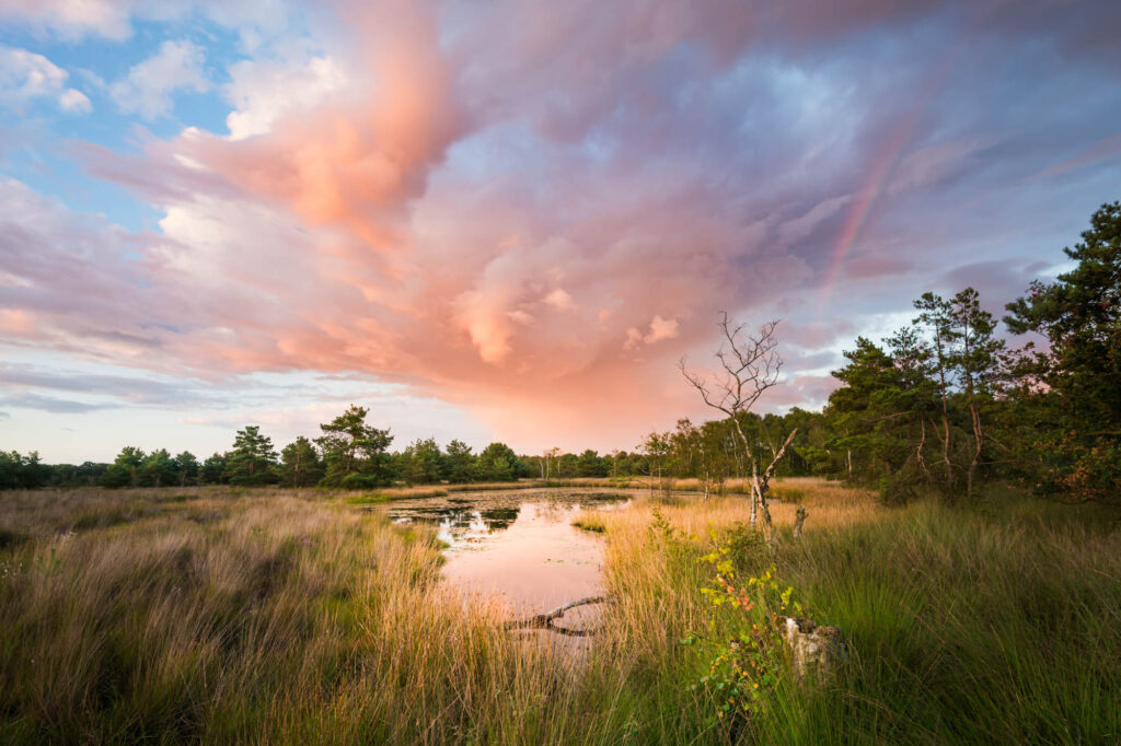 Wat kun je fotograferen in augustus? 4 Sunset Boxtel The Netherlands Betere Landschapsfoto